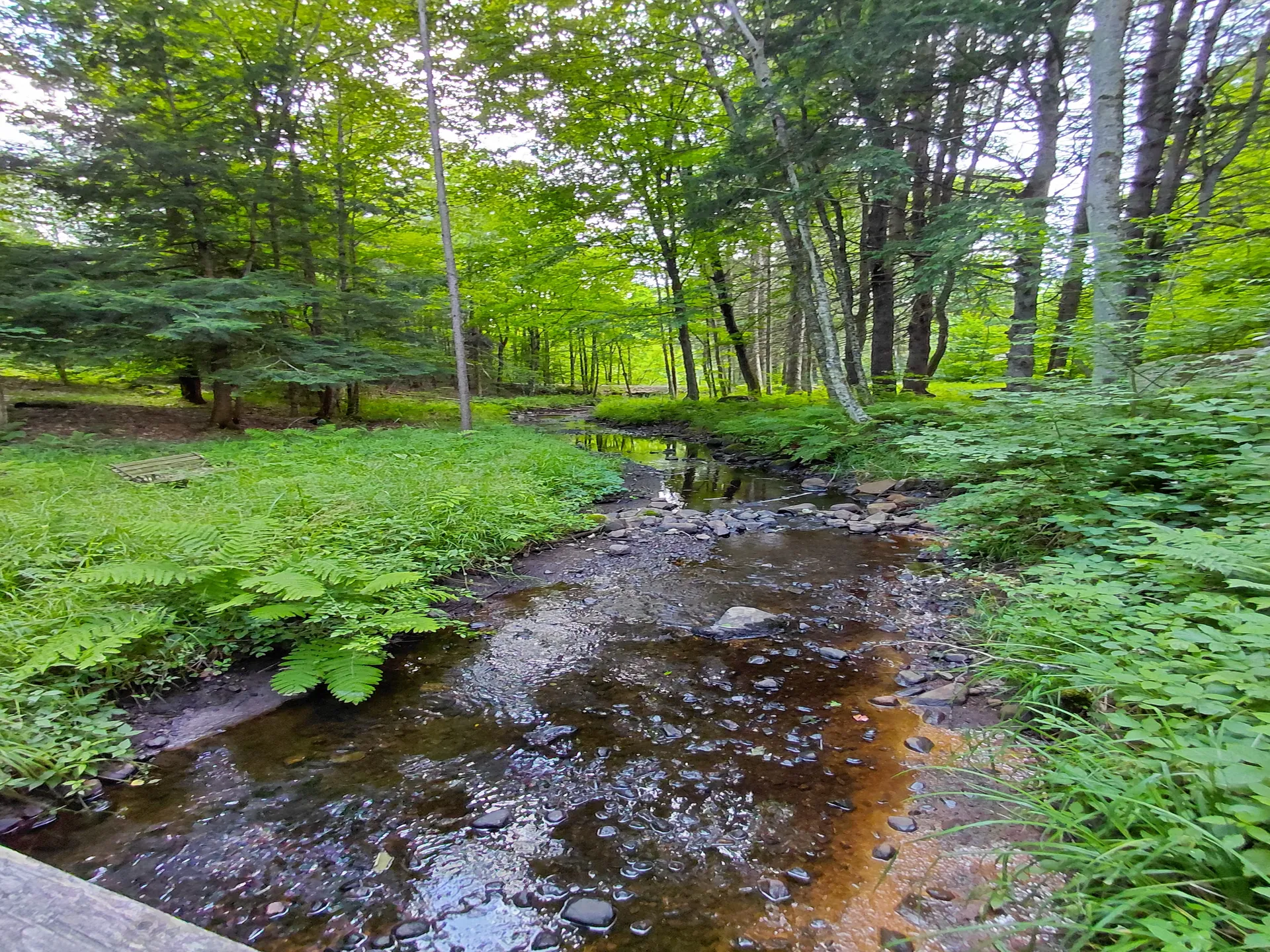 955 IRISH SETTLEMENT RD